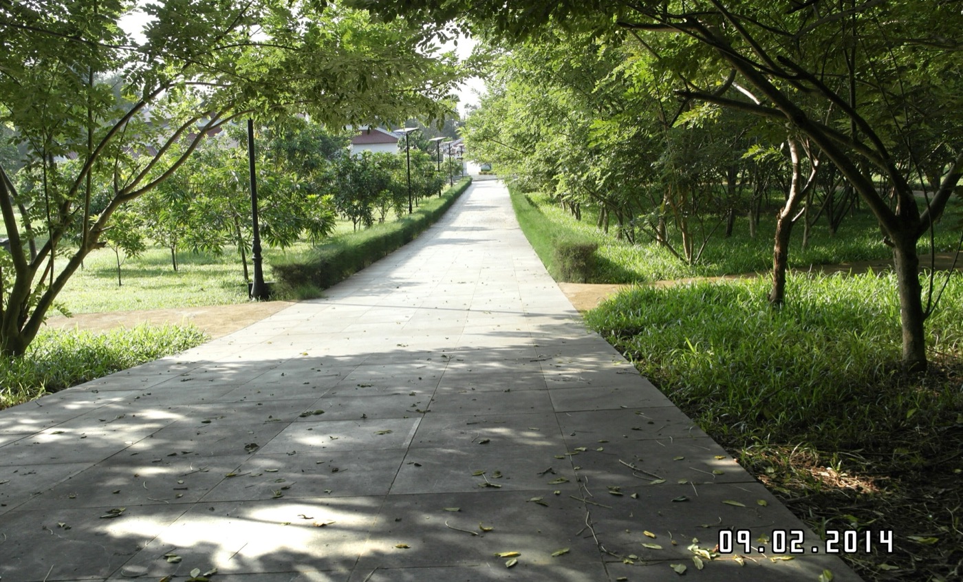 Nghĩa trang Hàng Dương, Côn Đảo